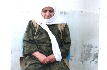 elfo ana